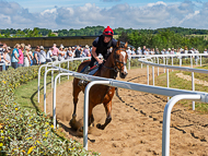 BP080722-42 - Owners watching Unit Sixtyfour cantering on the sand loop